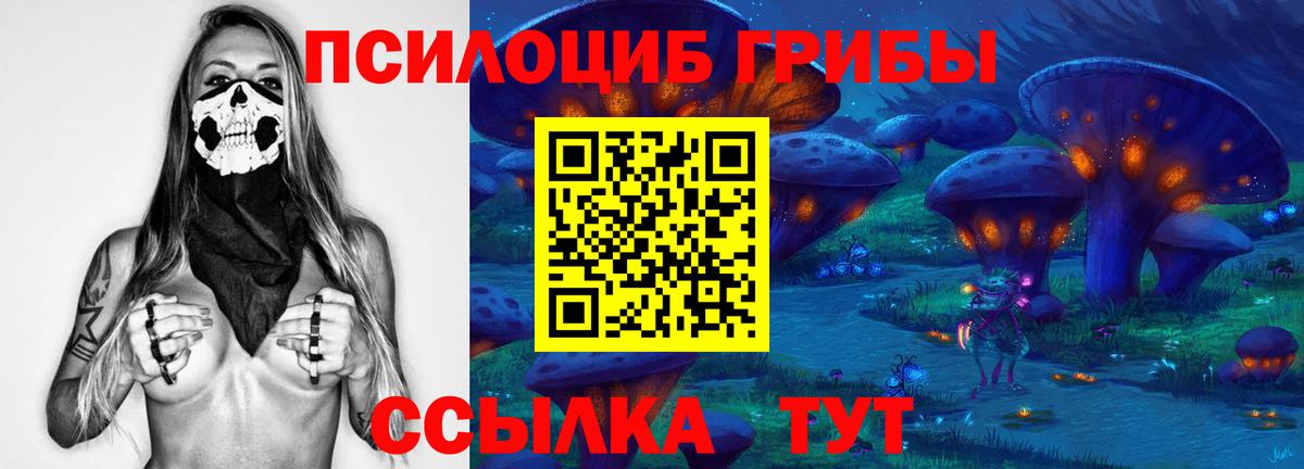 Энгельс  Псилоцибиновые грибы мухоморы  Галлюциногенные грибы ЛСД  Вход с VPN 