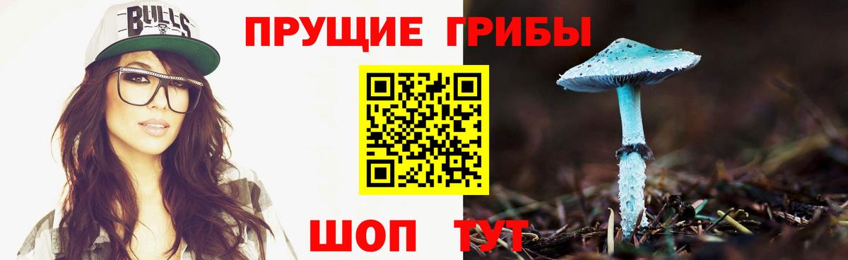 Галлюциногенные грибы MAGIC MUSHROOMS Энгельс
